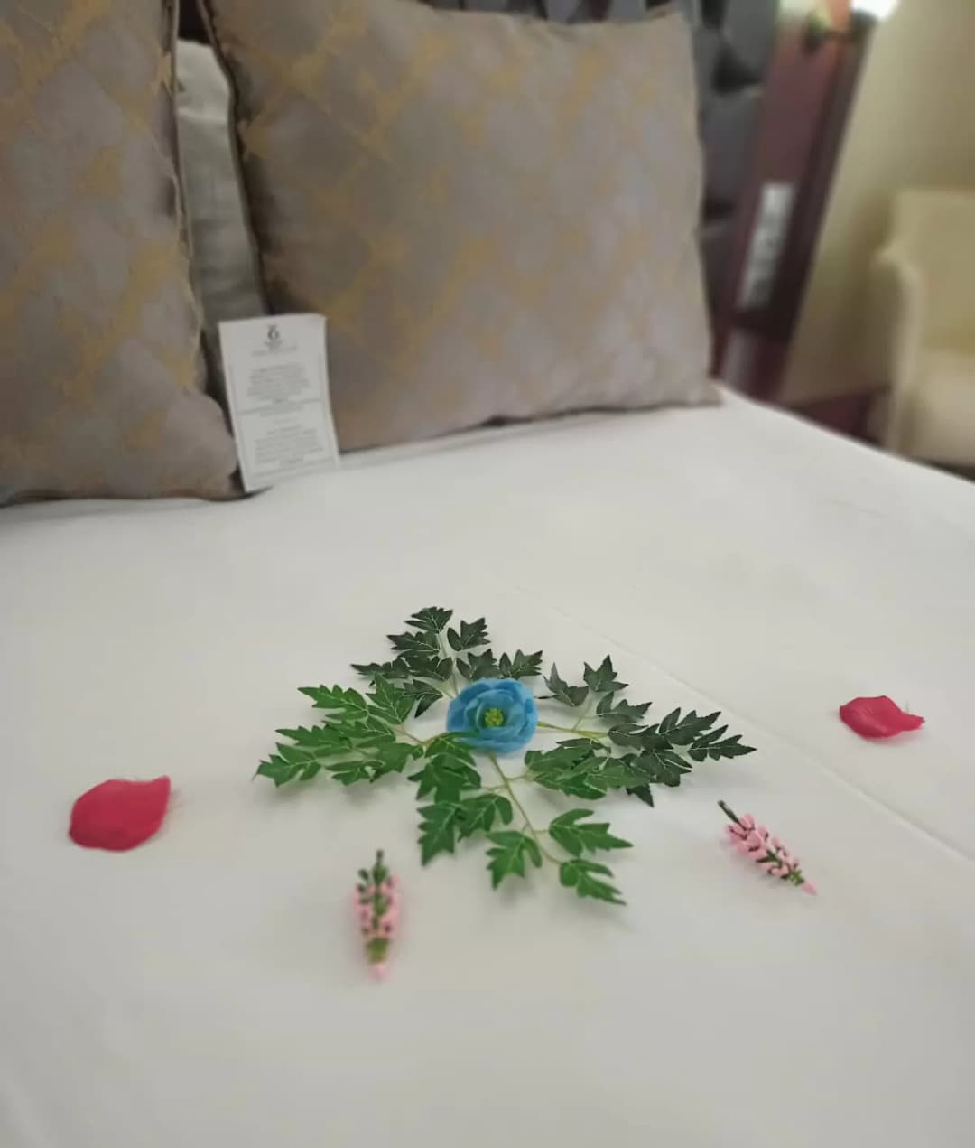 Konsept Odaları